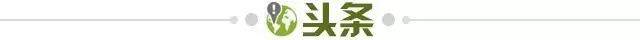 【早报】梅西世界波后失点，梅罗双双止步欧冠16强！